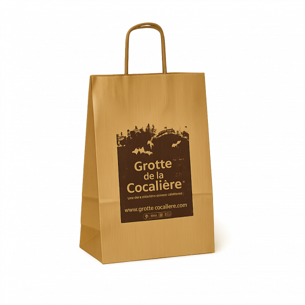 Devis cabas kraft poignée torsadée personnalisés (fabrication)